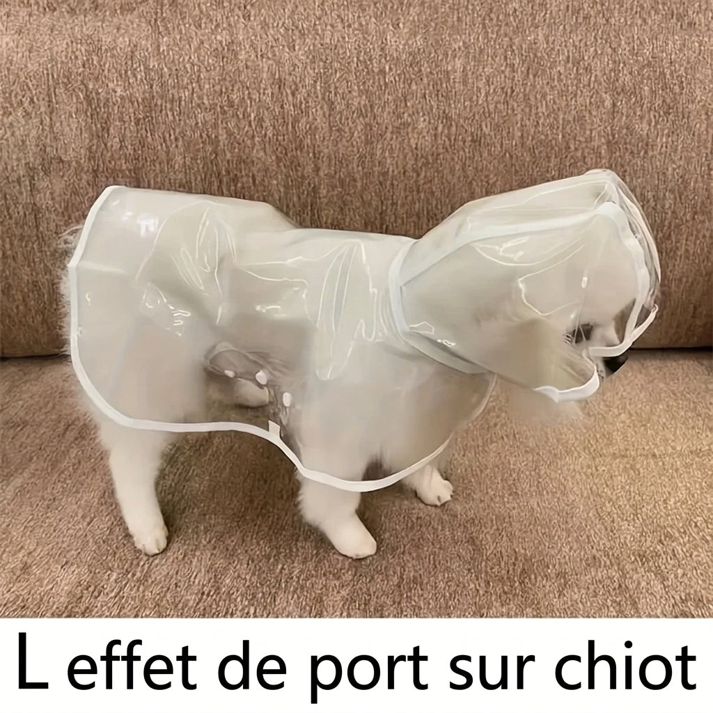 Détail de l'imperméable transparent