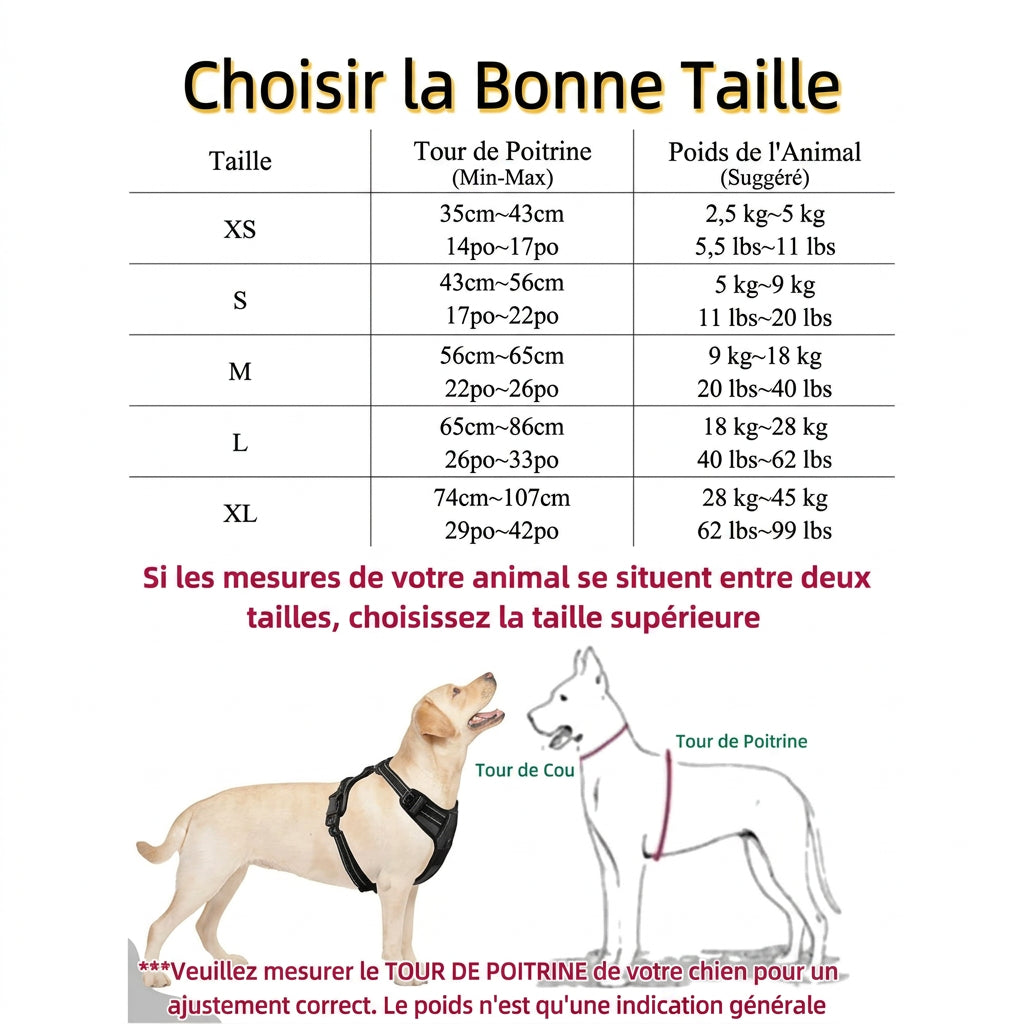Guide des tailles – Harnais gilet Éclat réfléchissant, tour de poitrine en cm et poids en kg