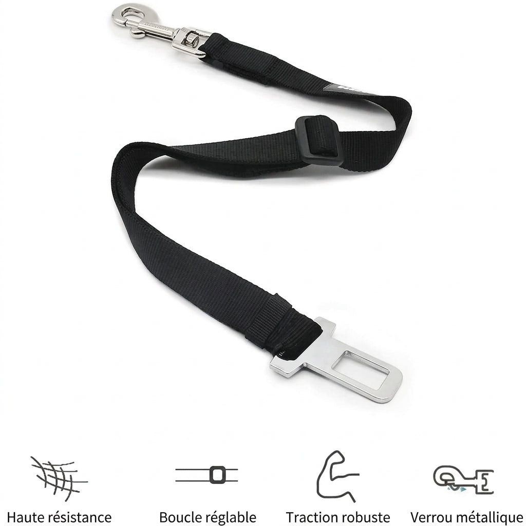 Ceinture de sécurité pour chien : haute résistance, boucle réglable et verrou métallique