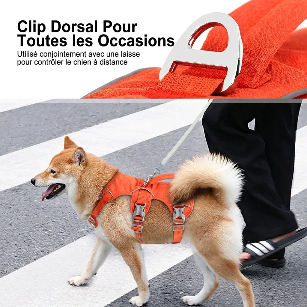 Harnais anti-fugue Évasion – clip dorsal