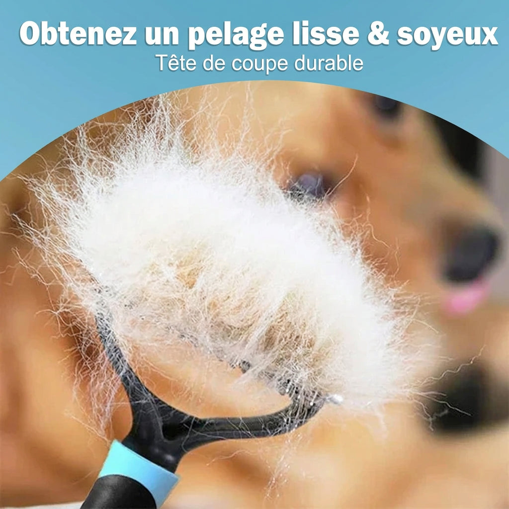 Poils retirés par le peigne, pour un pelage lisse et soyeux
