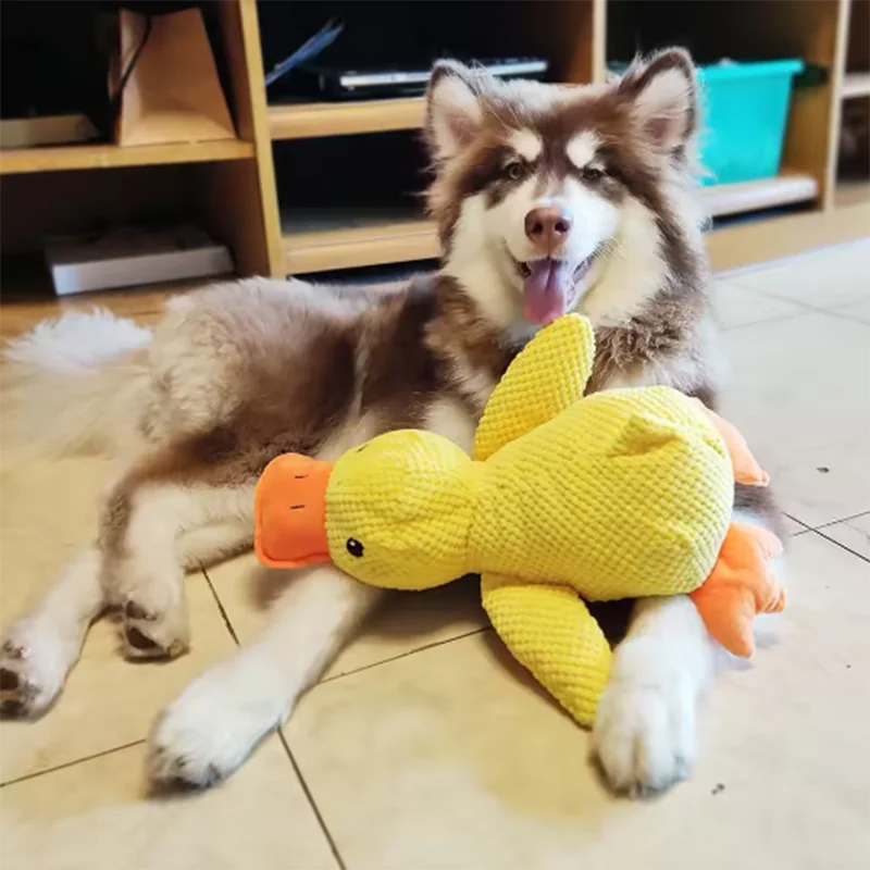Canard à mâchouiller Coin-Coin – vue 3