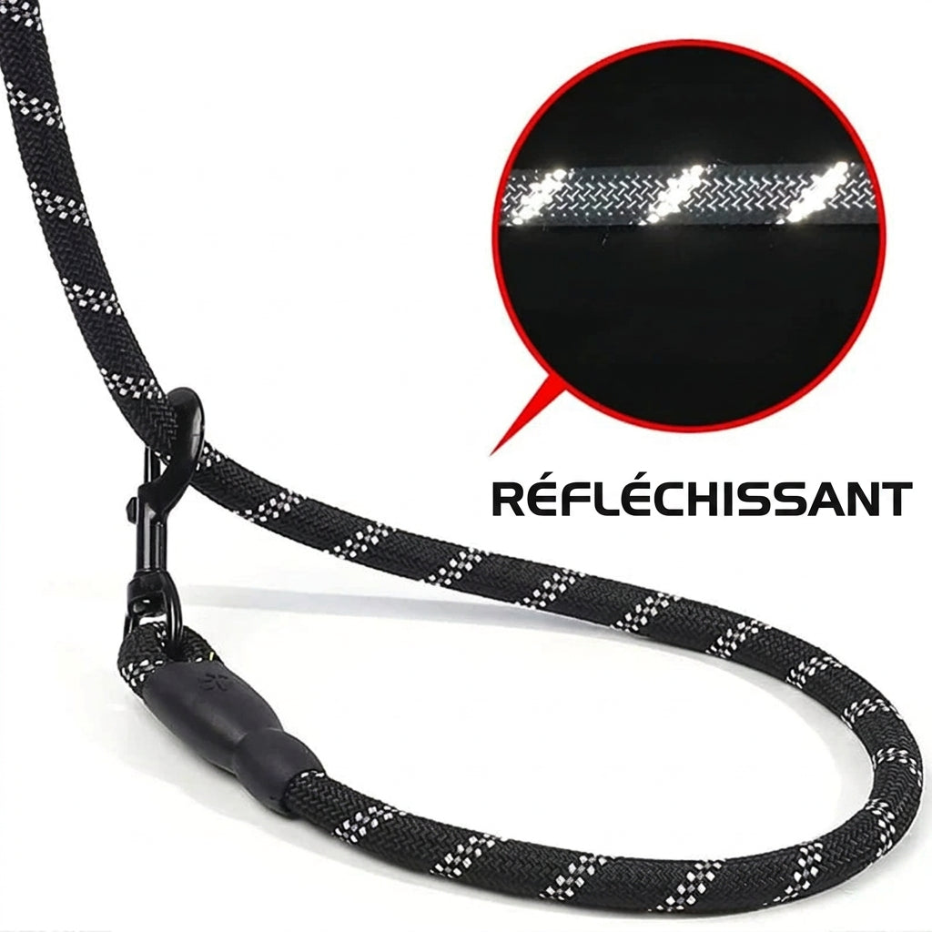 Corde de laisse réfléchissante la nuit, mention « Réfléchissant »
