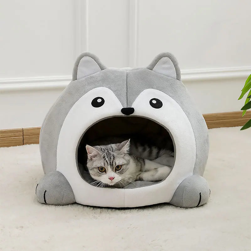 Grotte husky dans un salon