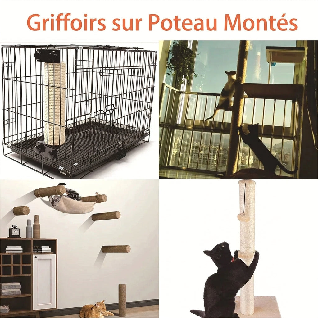 Exemples de poteaux griffoirs montés : cage, arbre à chat, mur
