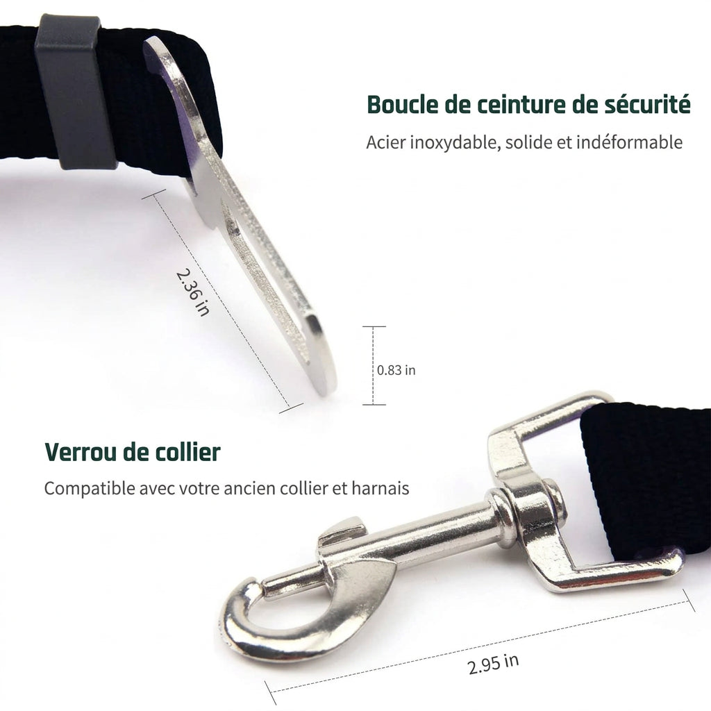 Boucle de ceinture en acier inoxydable et mousqueton de collier