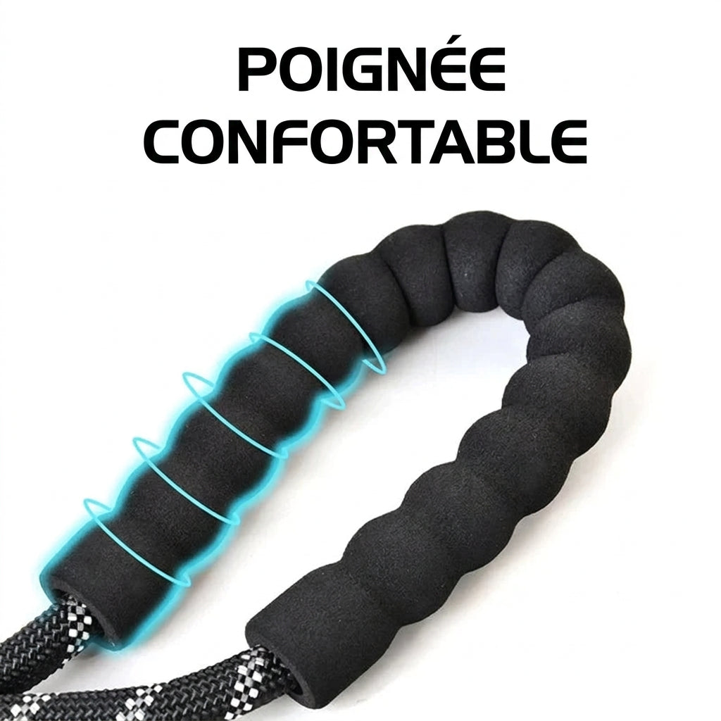 Poignée confortable rembourrée de la laisse