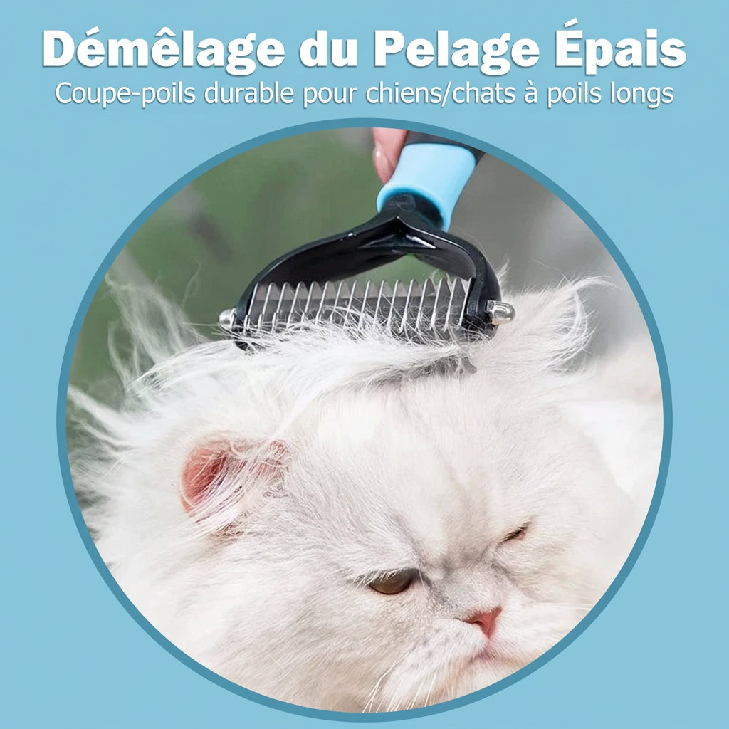 Peigne démêlant sur un chat persan à poils longs