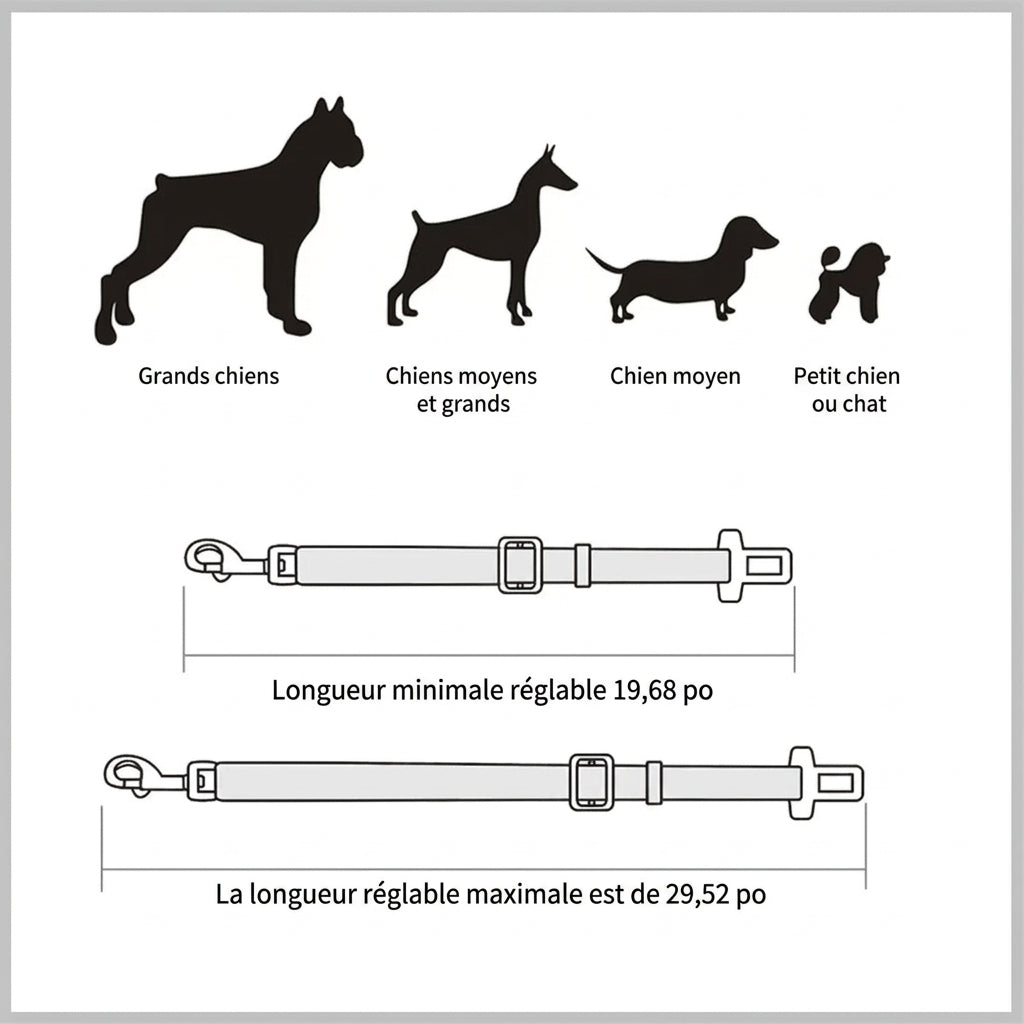 Longueurs réglables et tailles de chiens adaptées