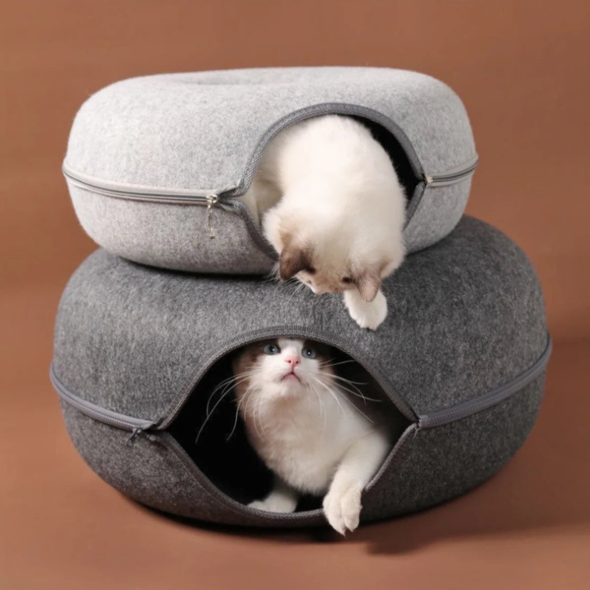 Chat qui regarde par le trou d'aération