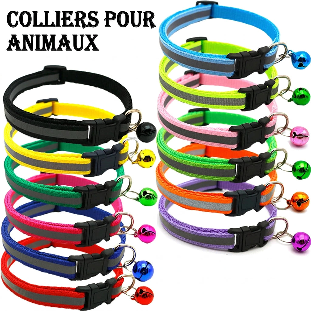 Colliers réfléchissants Duo pour chat