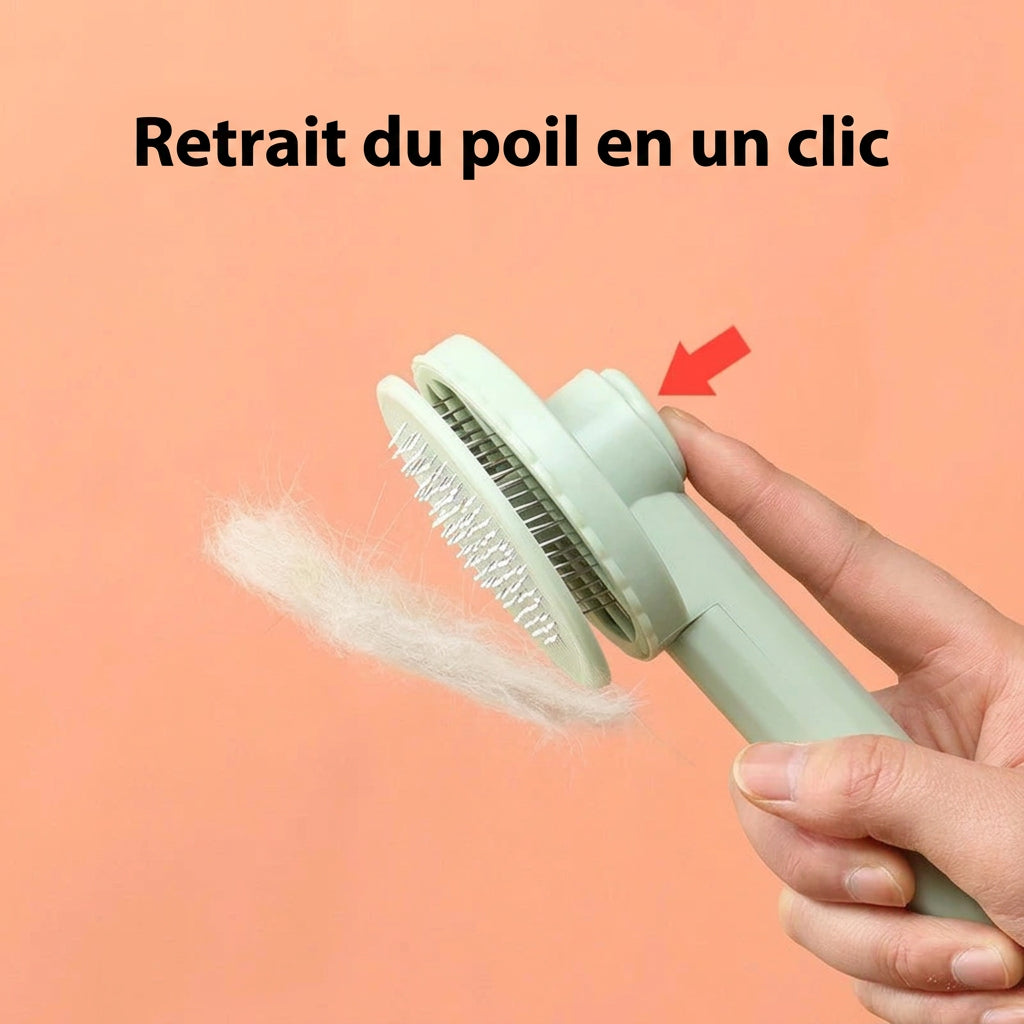 Brosse Pastel – caractéristiques