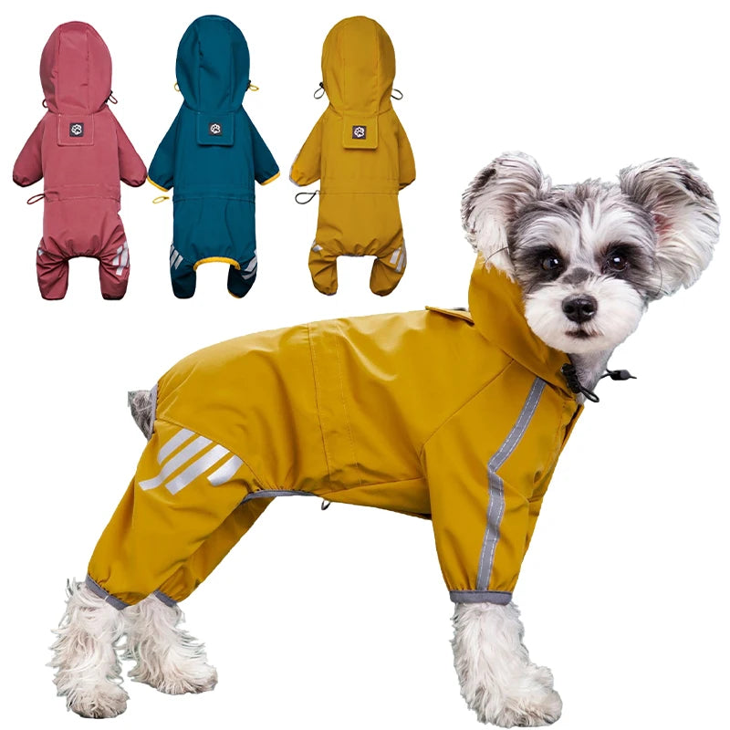 Petit chien en combinaison de pluie