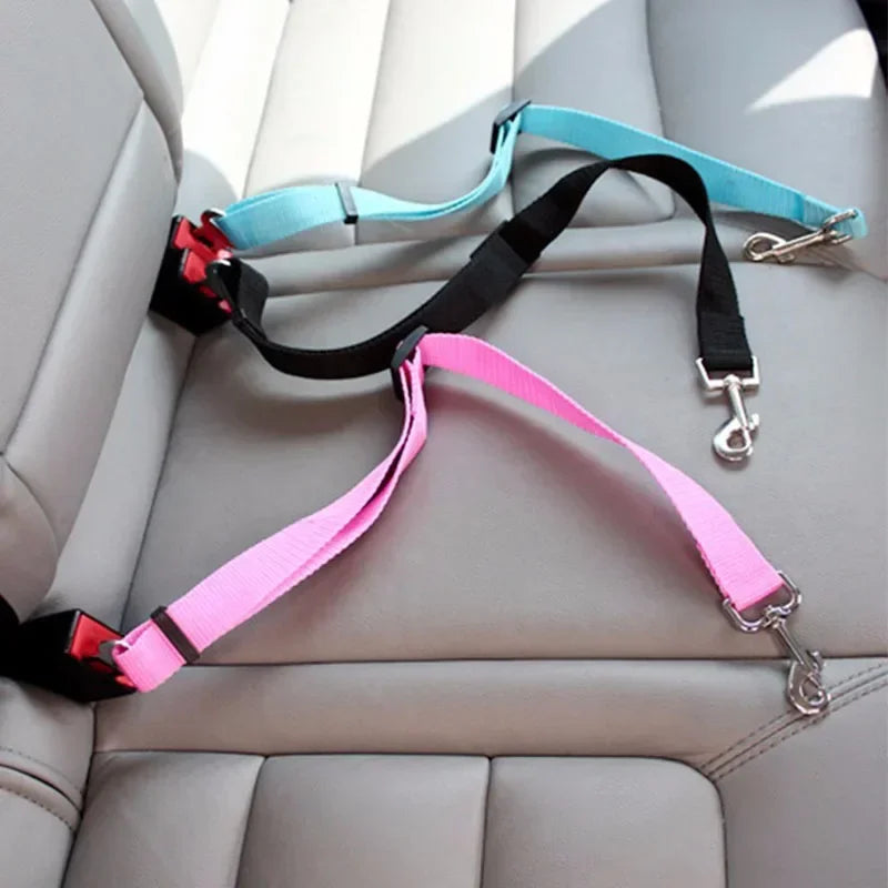 Ceintures de sécurité pour chien en couleurs