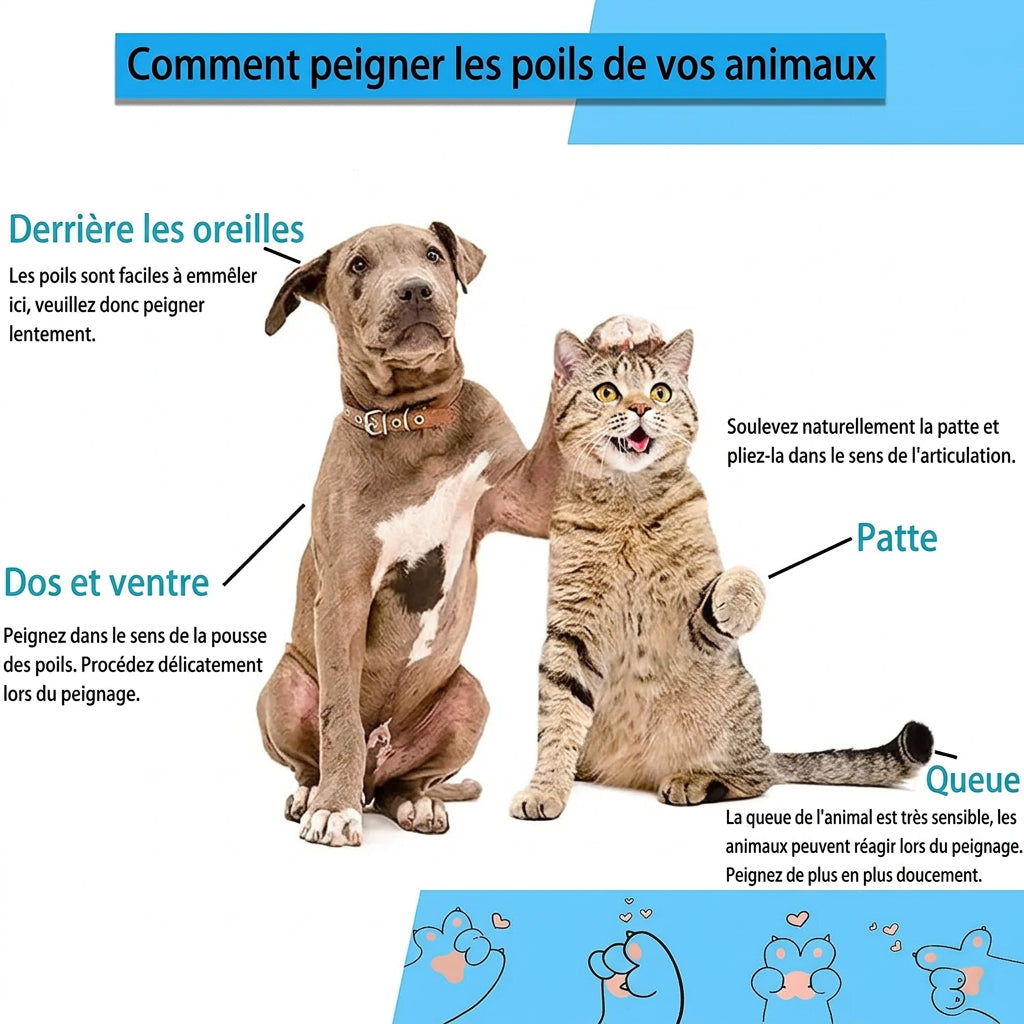 Brosse Anti-Poils – avantages