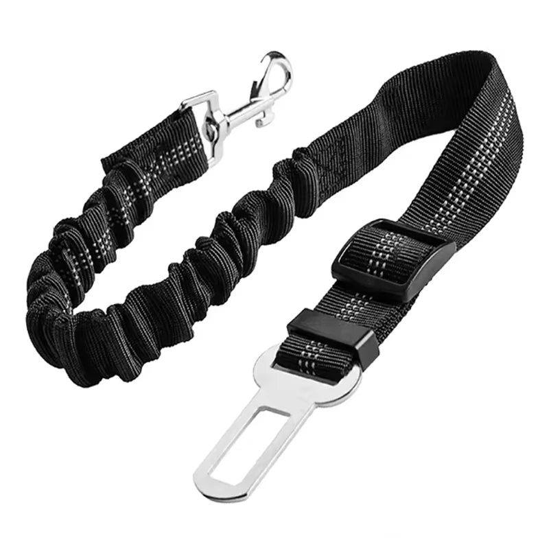 Ceinture élastique pour chien noire