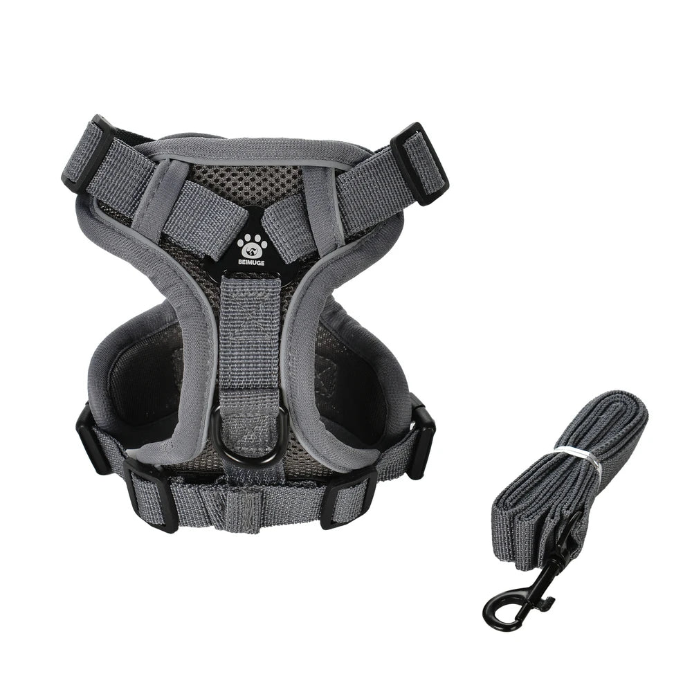 Harnais gilet Brise gris avec laisse assortie