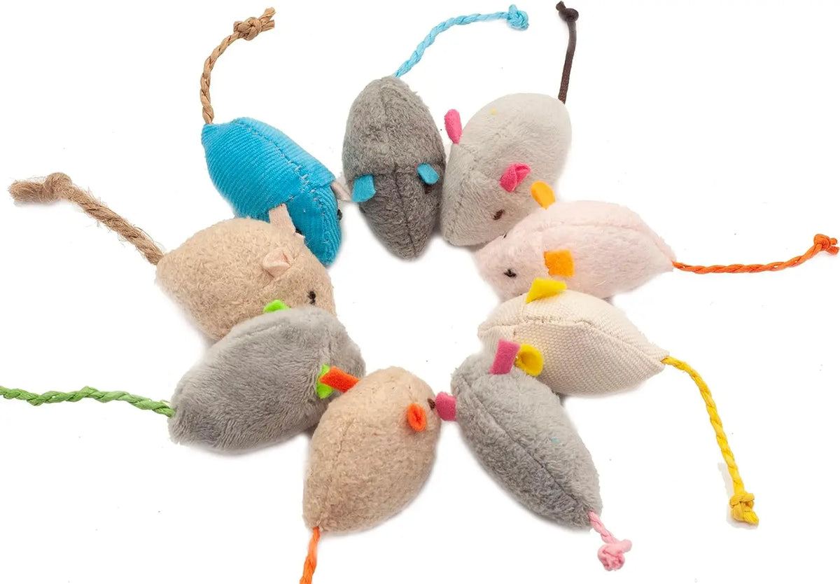 Souris Herbe à chat – vue 2