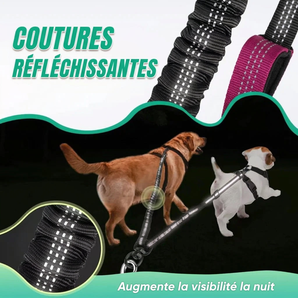 Coupleur Duo Balade – détails