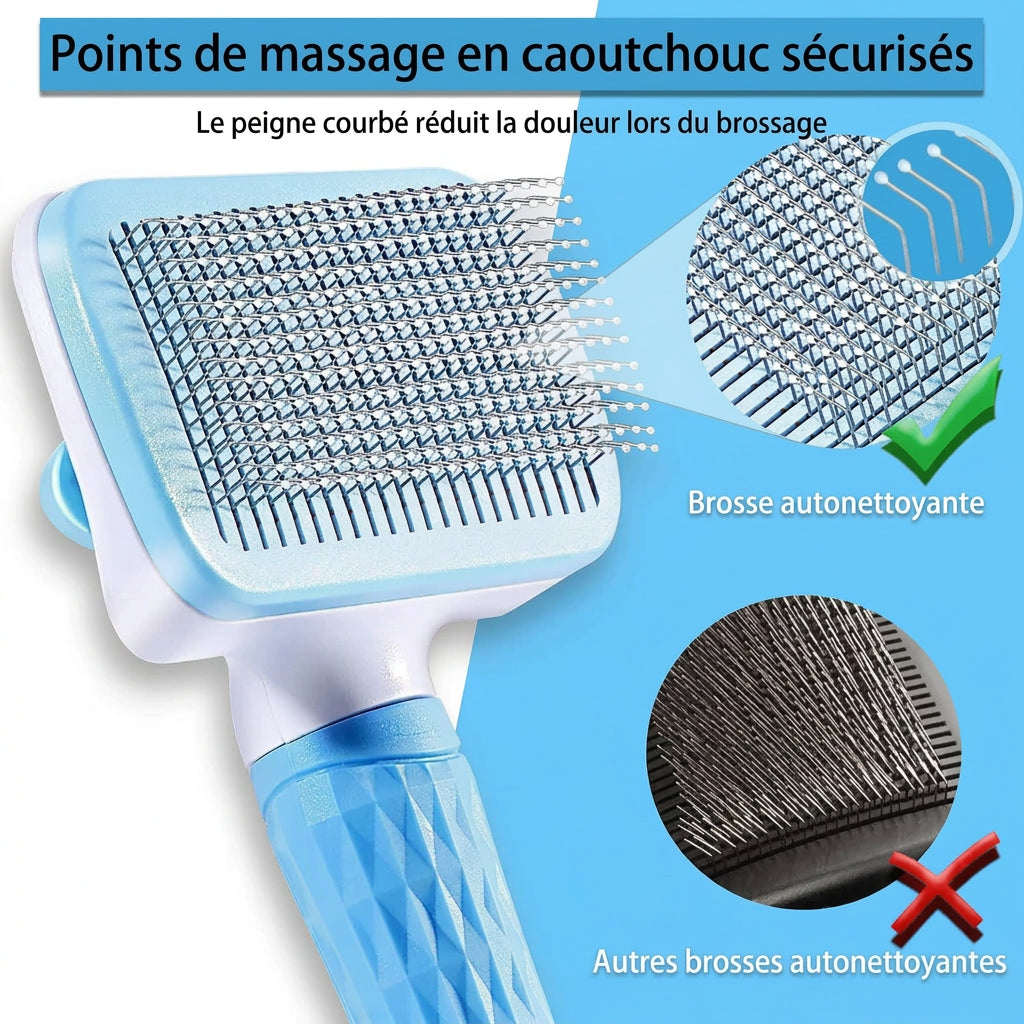 Brosse Anti-Poils – utilisation