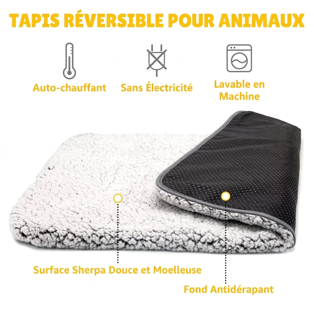 Coussin Auto-Chauffant – caractéristiques