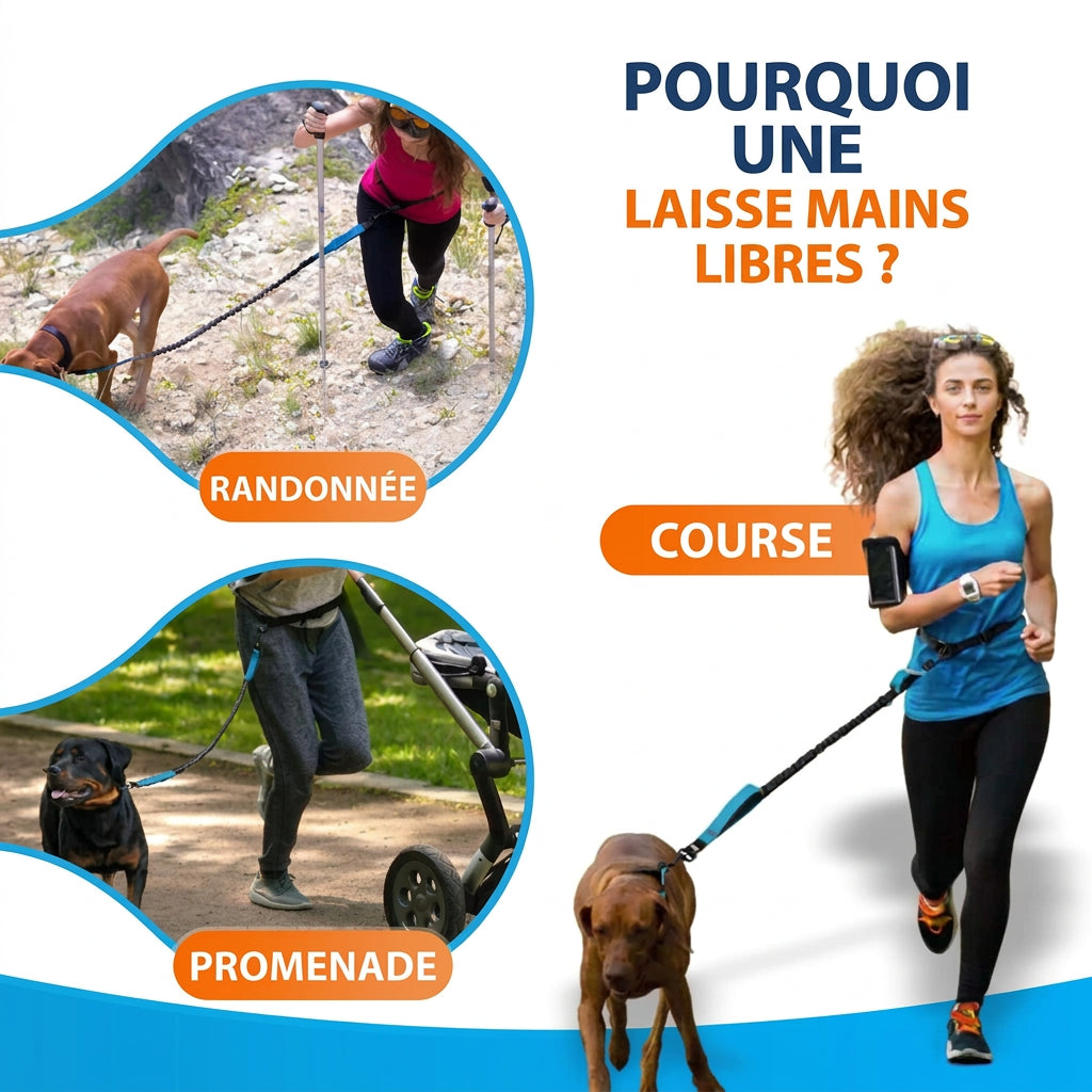 Laisse mains libres pour randonnée, course et promenade avec un chien
