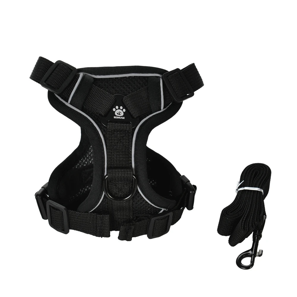 Harnais gilet Brise noir avec laisse assortie