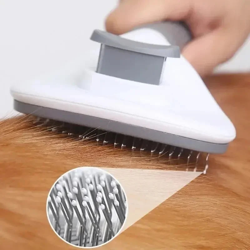 Brosse Clic – vue 5