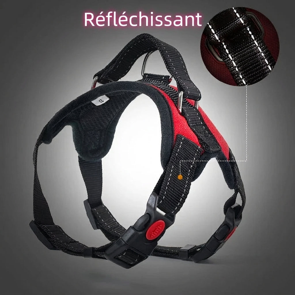 Harnais gilet Éclat réfléchissant – réfléchissant