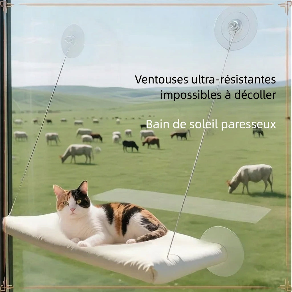 Ventouses ultra-résistantes pour un bain de soleil paresseux
