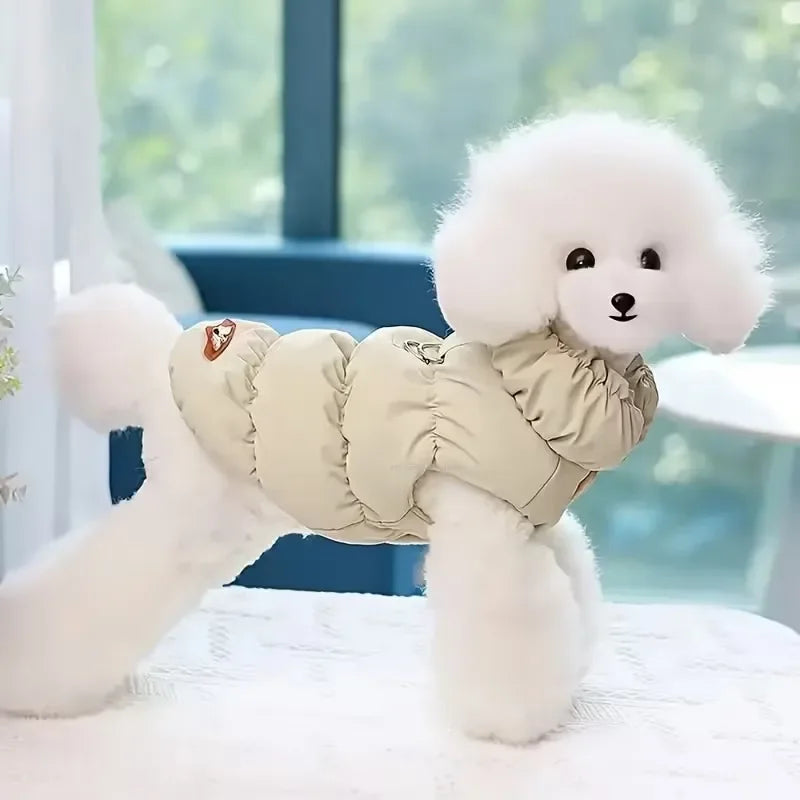 Chien portant le manteau matelassé