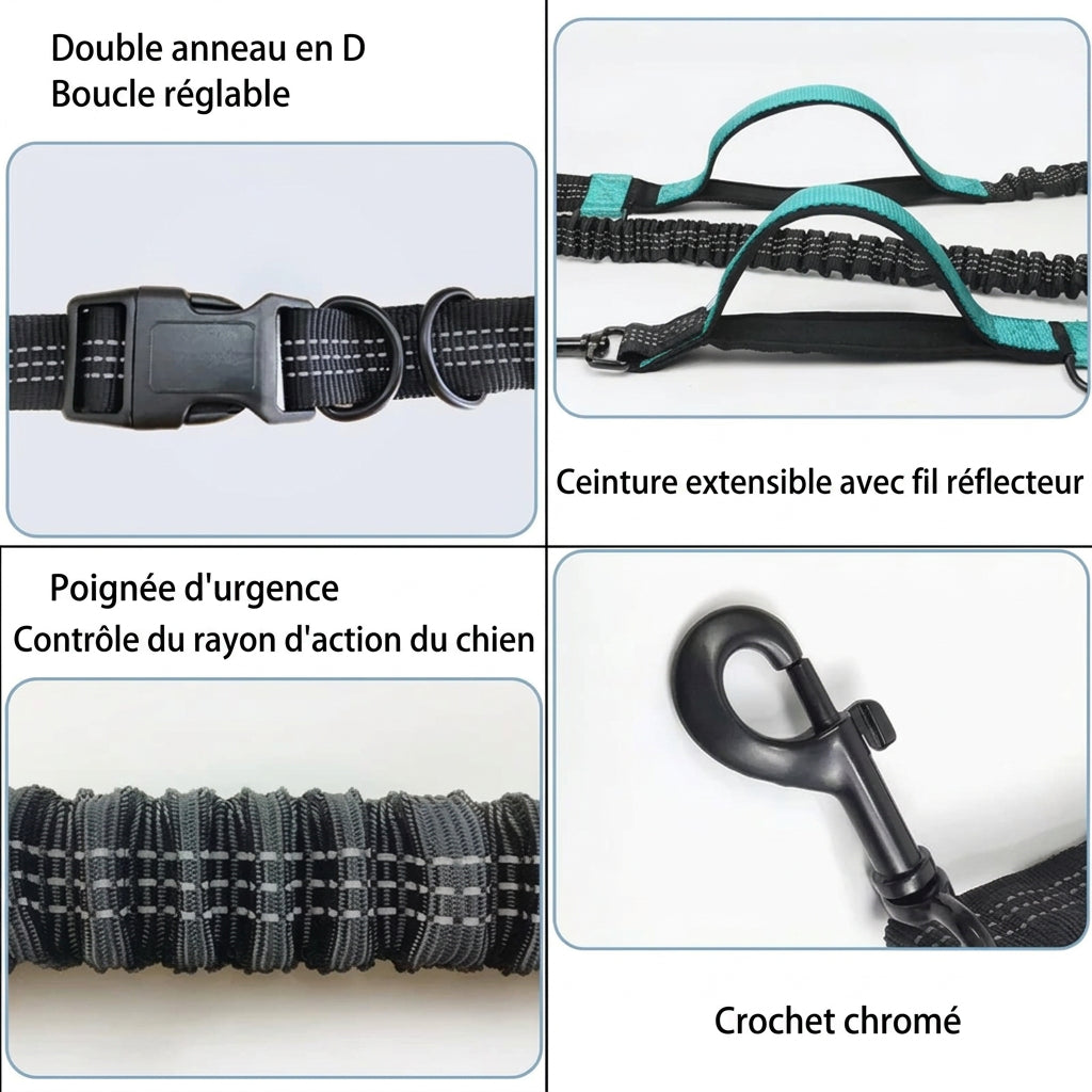 Détails : boucle réglable à double anneau en D, ceinture réfléchissante, poignée d'urgence, crochet chromé