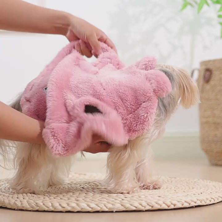 Manteau polaire Nounours enfilé sur un petit chien, en vidéo